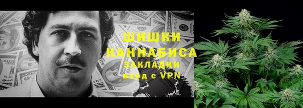 прущие крисы Балахна