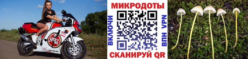 Псилоцибиновые грибы Psilocybine cubensis  omg ссылка  Новый Оскол 